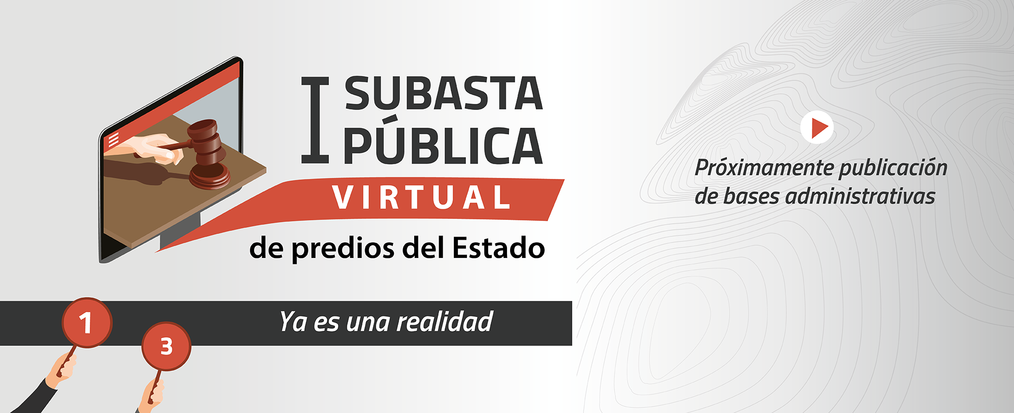 SBN HABILITA SUBASTA PÚBLICA  VIRTUAL HASTA FIN DE AÑO