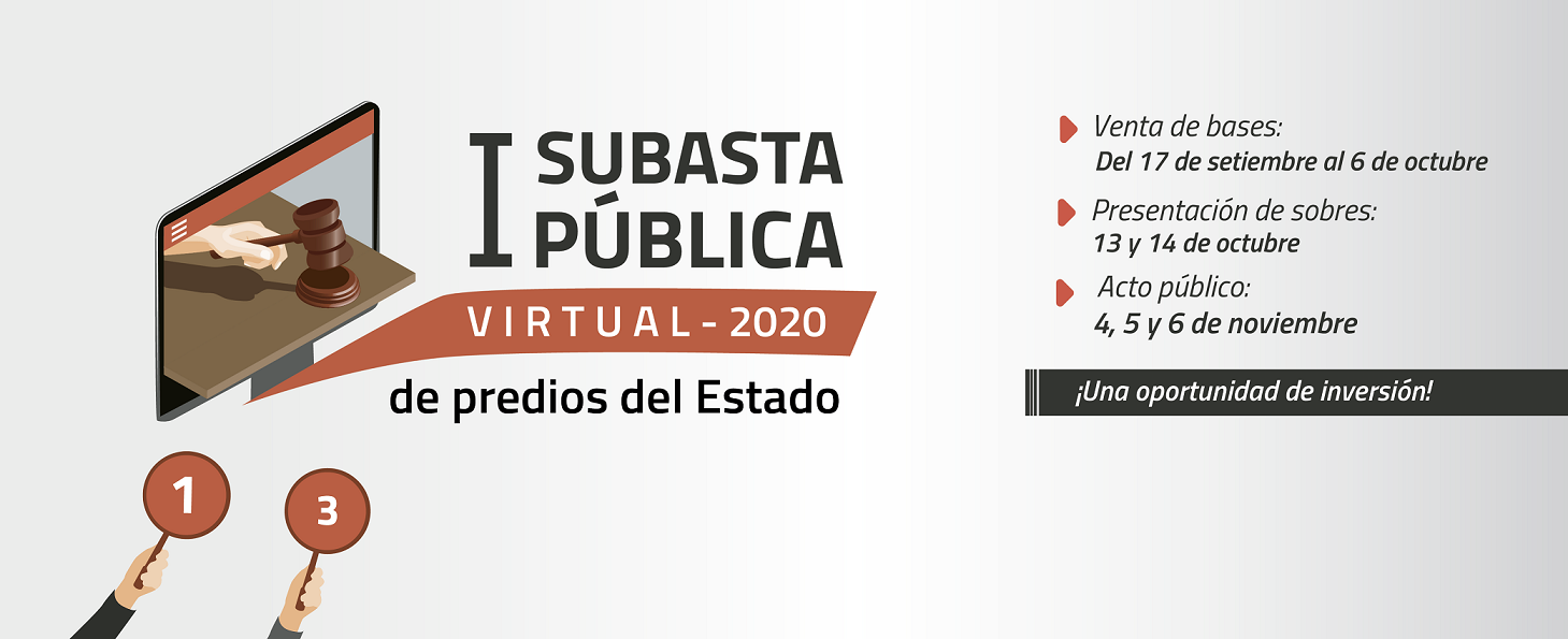 SBN SUBASTARÁ 63 PREDIOS DEL ESTADO  EN LA PRIMERA SUBASTA PÚBLICA VIRTUAL